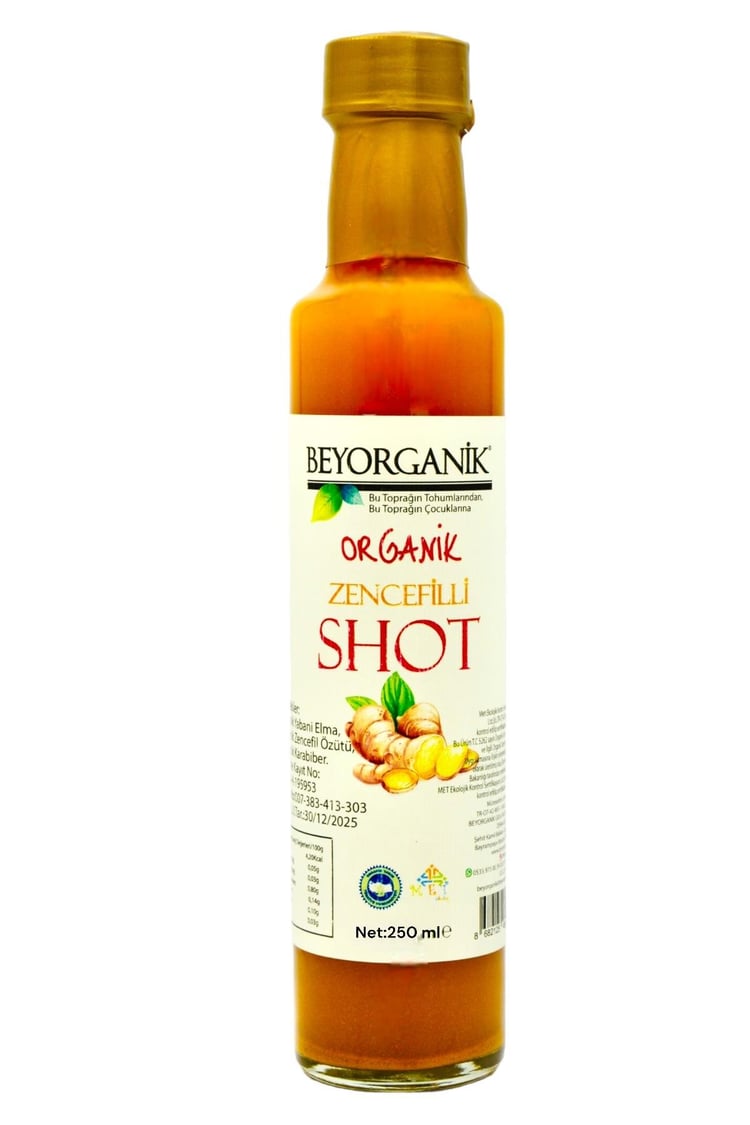 Bio-Ingwer-Shot 250ml
