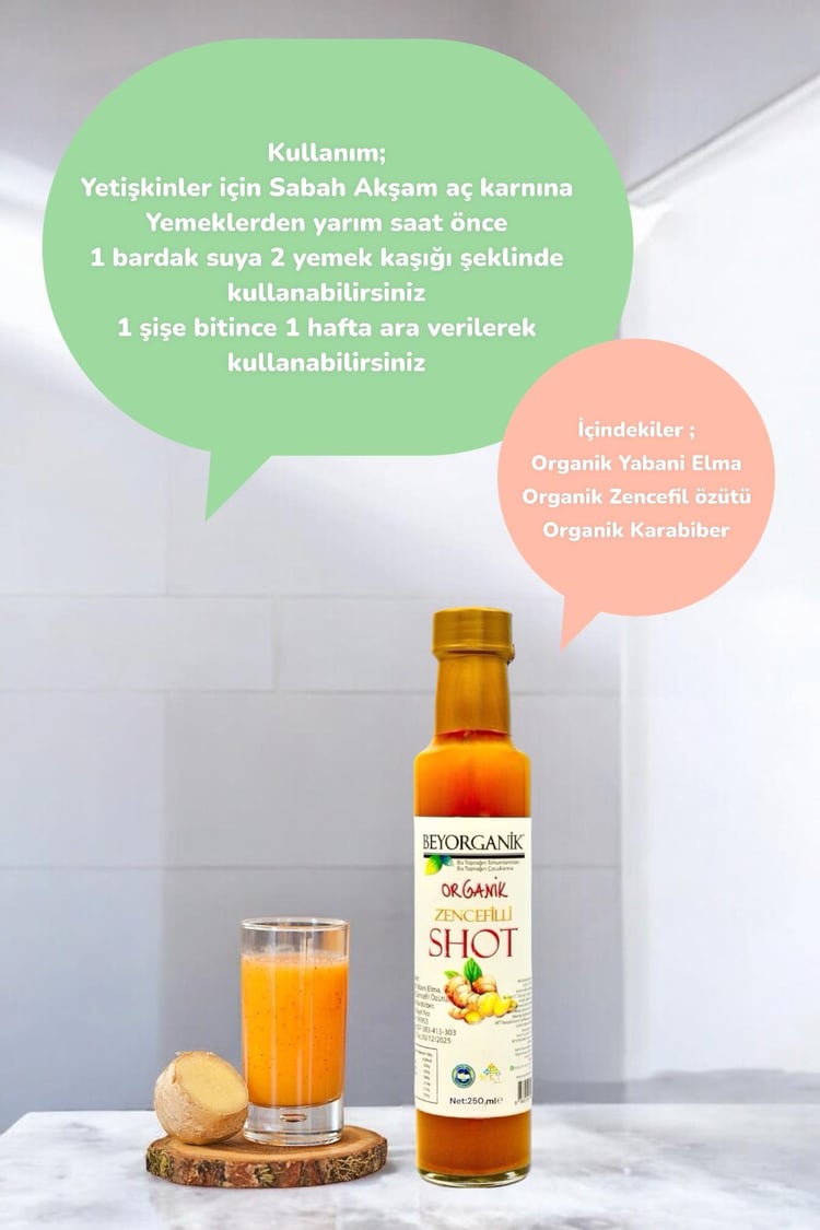 Bio-Ingwer-Shot 250ml