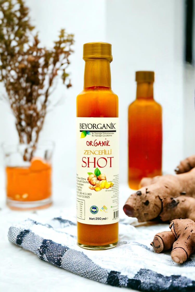 Bio-Ingwer-Shot 250ml